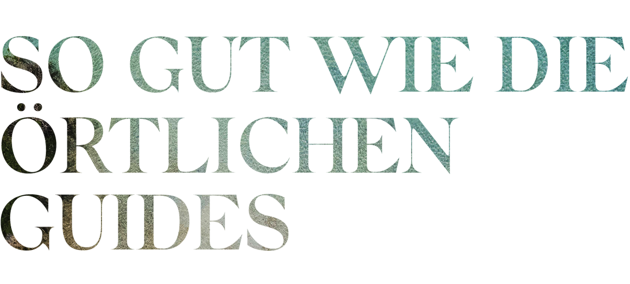 so gut wie die ortlichen guides