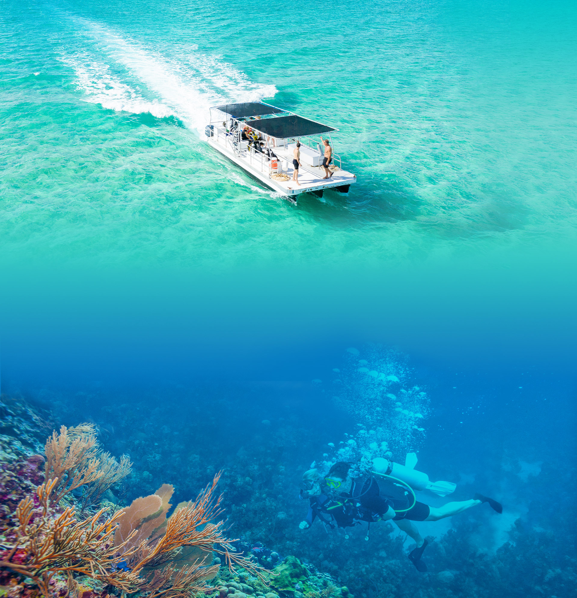 Learn To Dive Andros, Bahamas