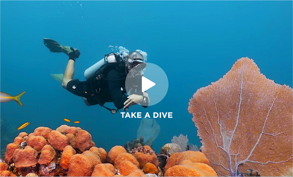 Learn To Dive Andros, Bahamas