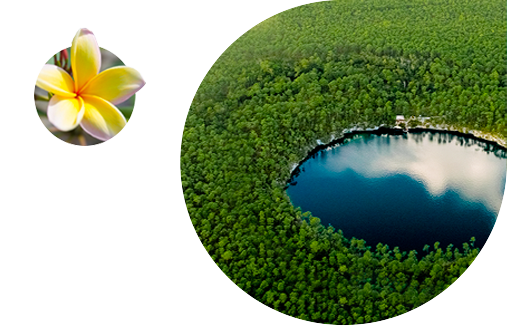 Bahamas blue hole
