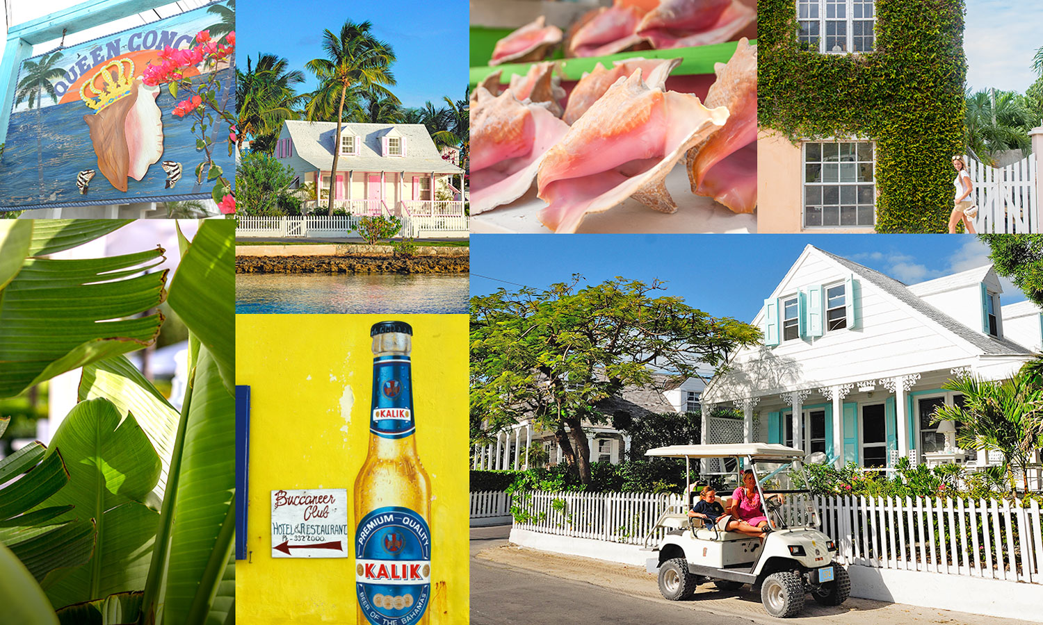 dunmore collage