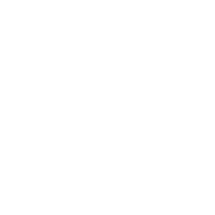 Fish & Conch Badge